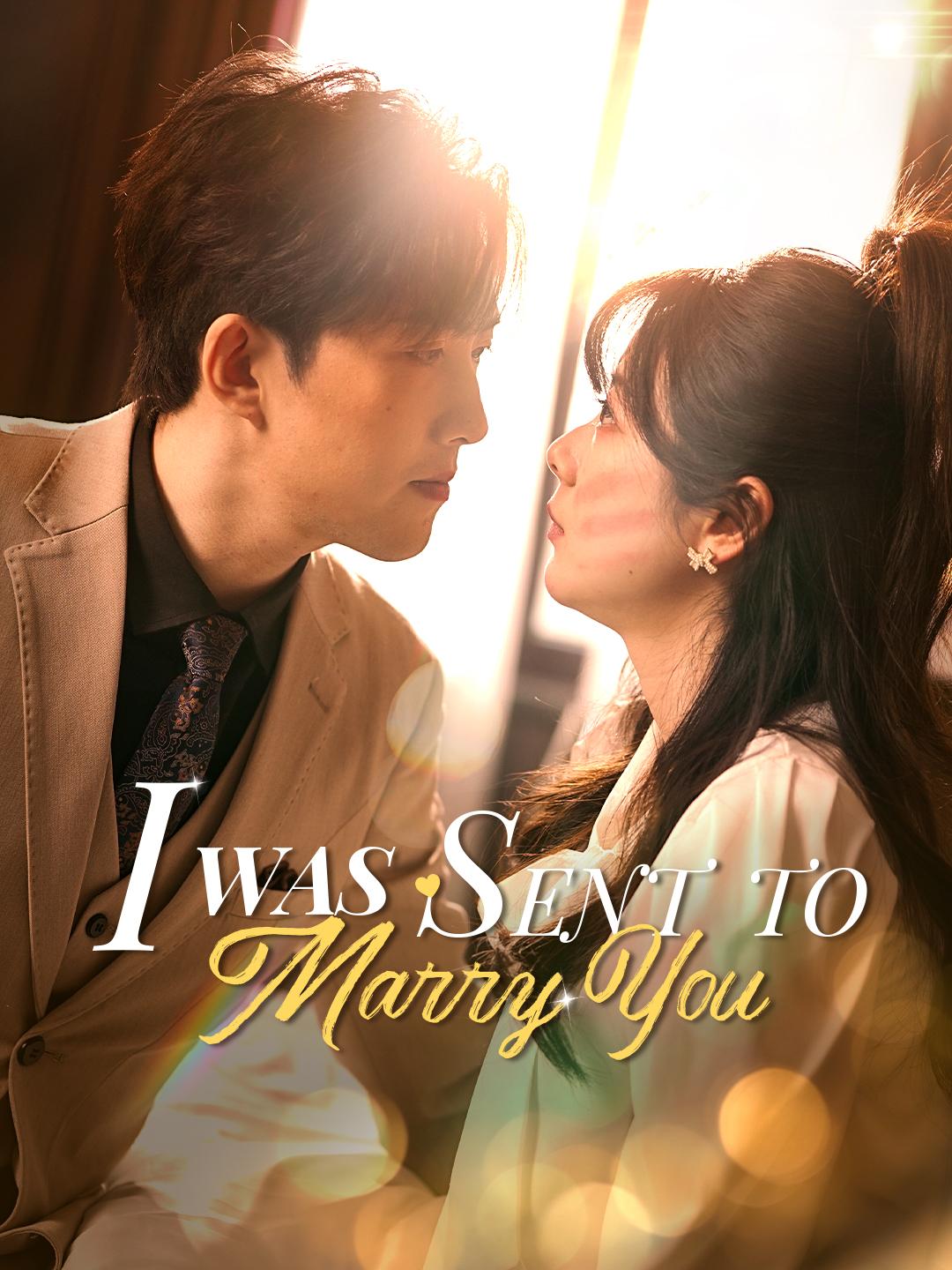 I Was Sent to Marry You poster