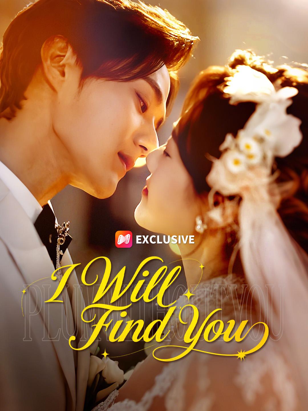 I Will Find You poster