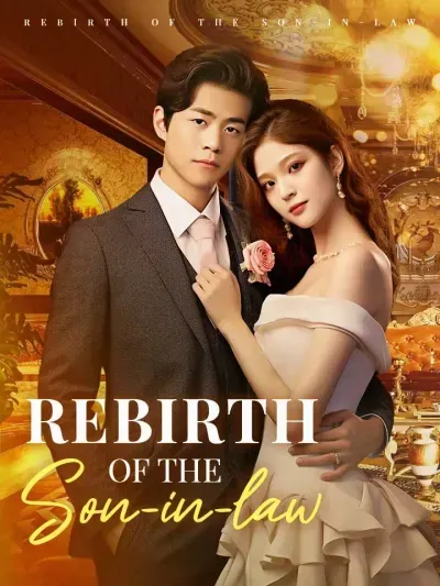 Rebirth of the Son-in-Law poster