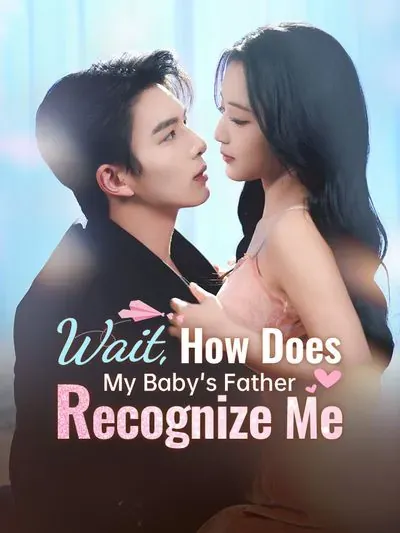 Wait, How Does My Baby's Father Recognize Me poster