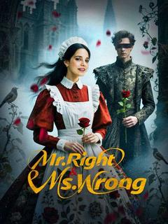 Mr.Right & Ms.Wrong poster