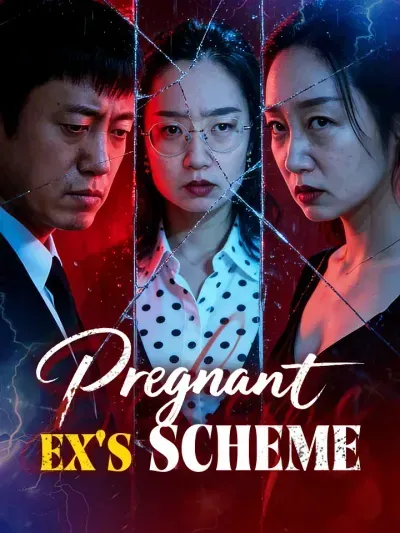 Pregnant Ex’s Scheme poster
