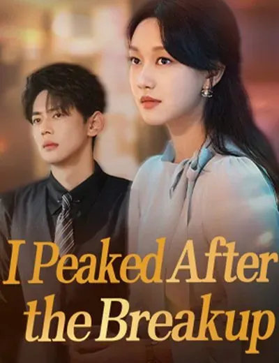 I Peaked After the Breakup poster