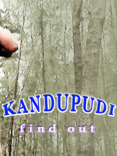 Kandupudi poster