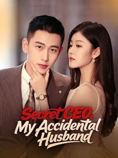 Secret CEO, My Accidental Husband poster