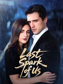 The Last Spark of Us poster
