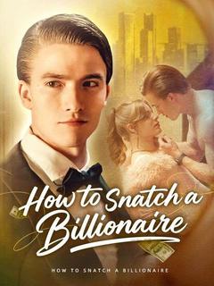 How to Snatch a Billionaire poster