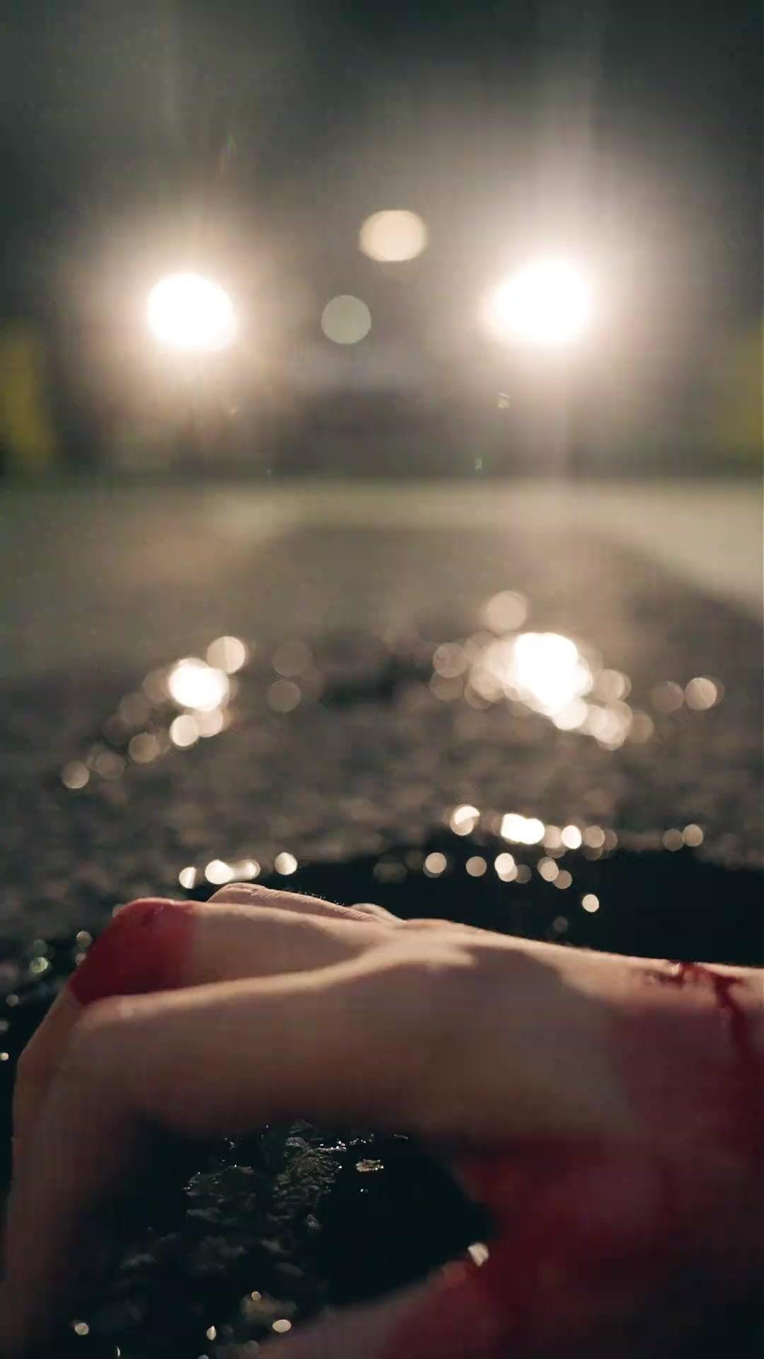 Lost Memory? Found Vengeance! poster