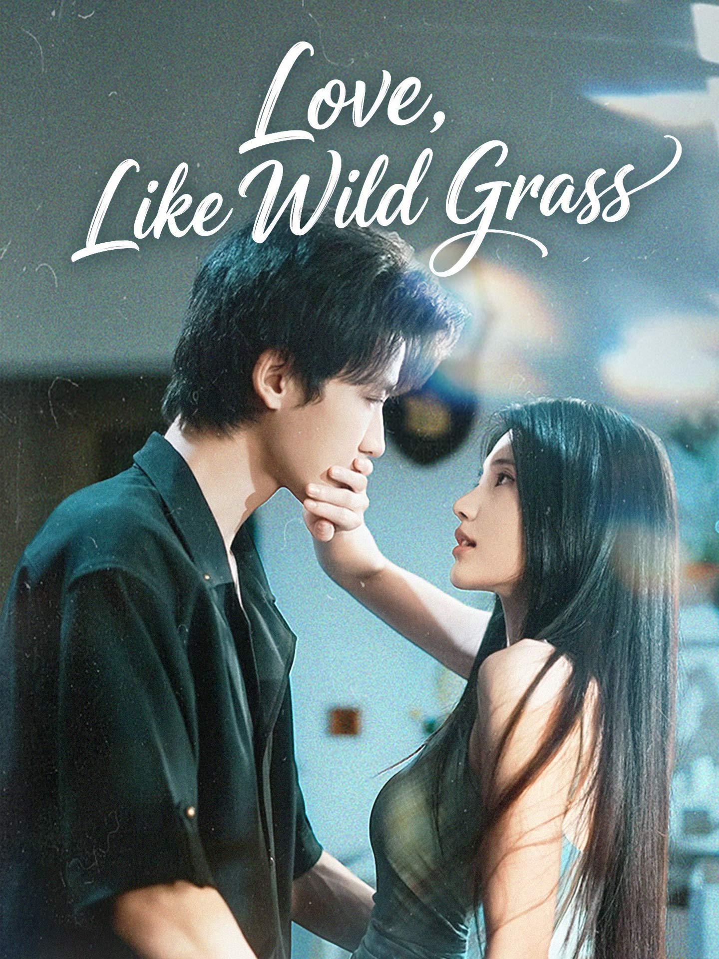 Love, Like Wild Grass poster