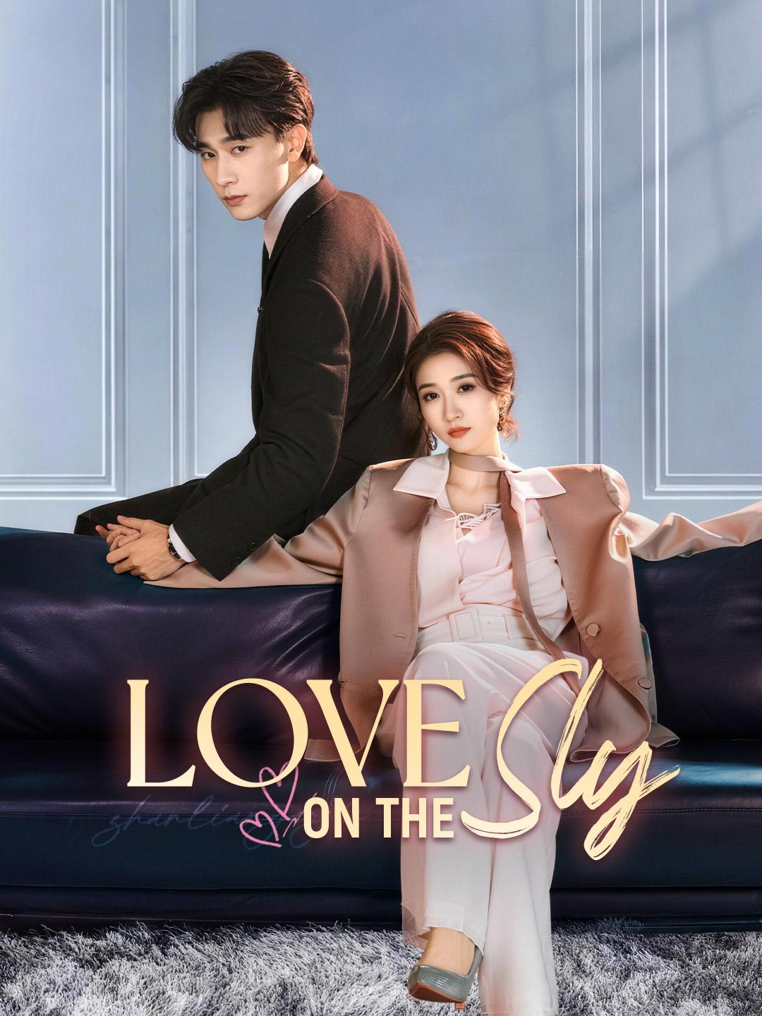 Love on the Sly poster