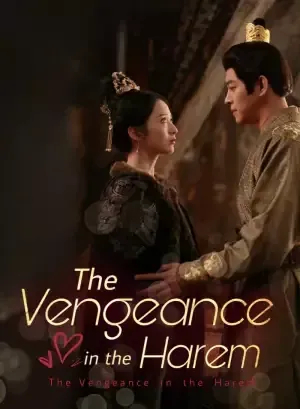 The Vengeance in the Harem poster