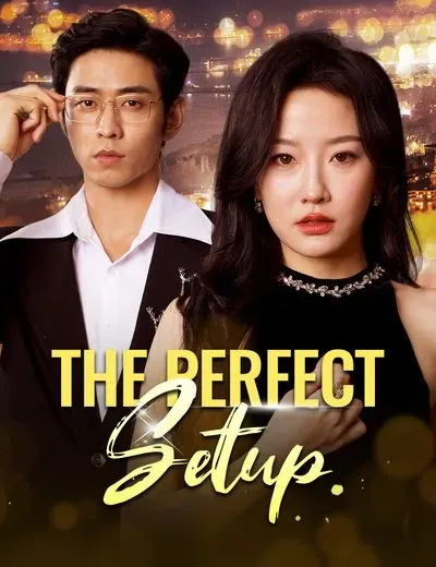 The Perfect Setup poster