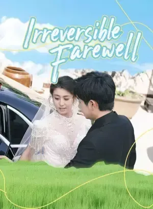 Irreversible Farewell poster