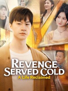 Revenge Served Cold: A Life Reclaimed (DUBBED) poster