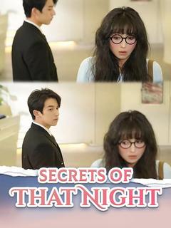 Secrets of That Night poster