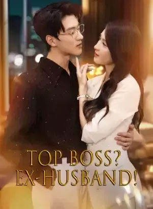 Top Boss? Ex-Husband! poster
