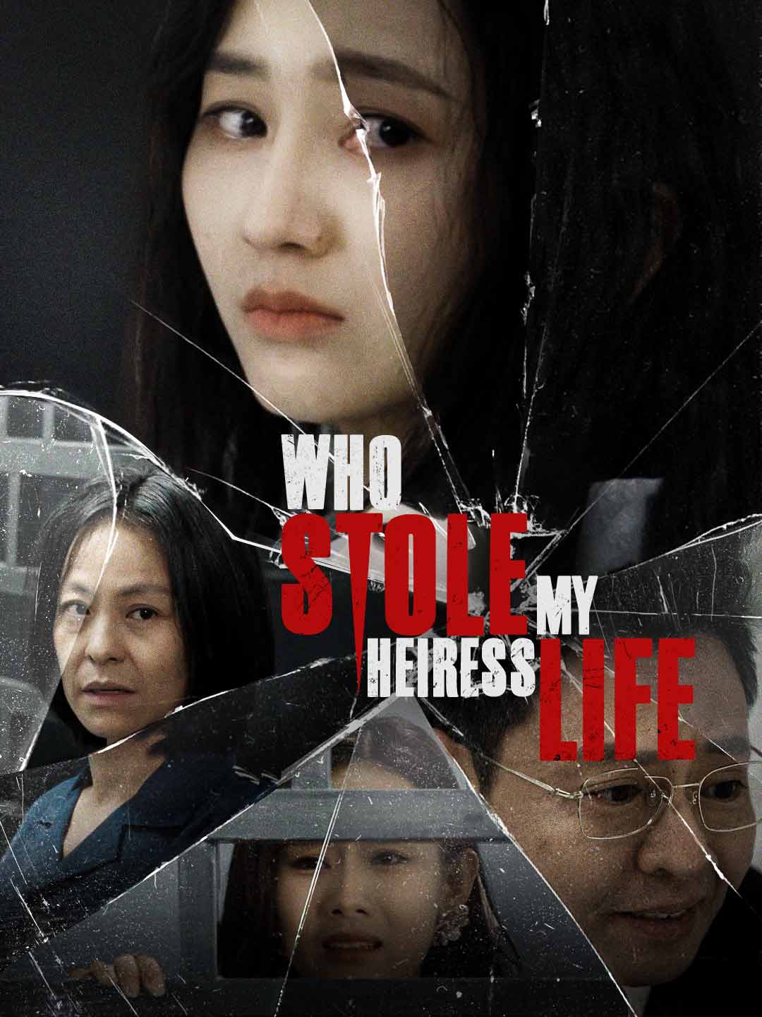 Who Stole My Heiress Life poster