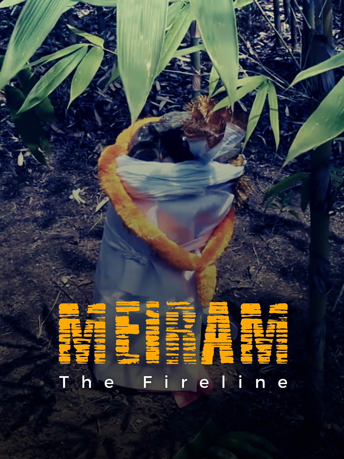 Meiram The Fireline poster