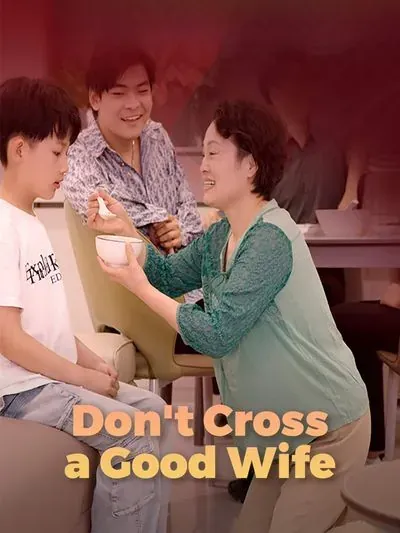 Don’t Cross a Good Wife poster