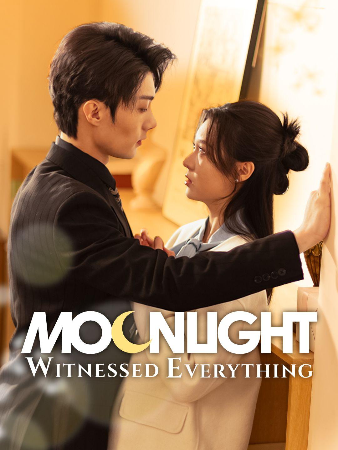 Moonlight Witnessed Everything poster