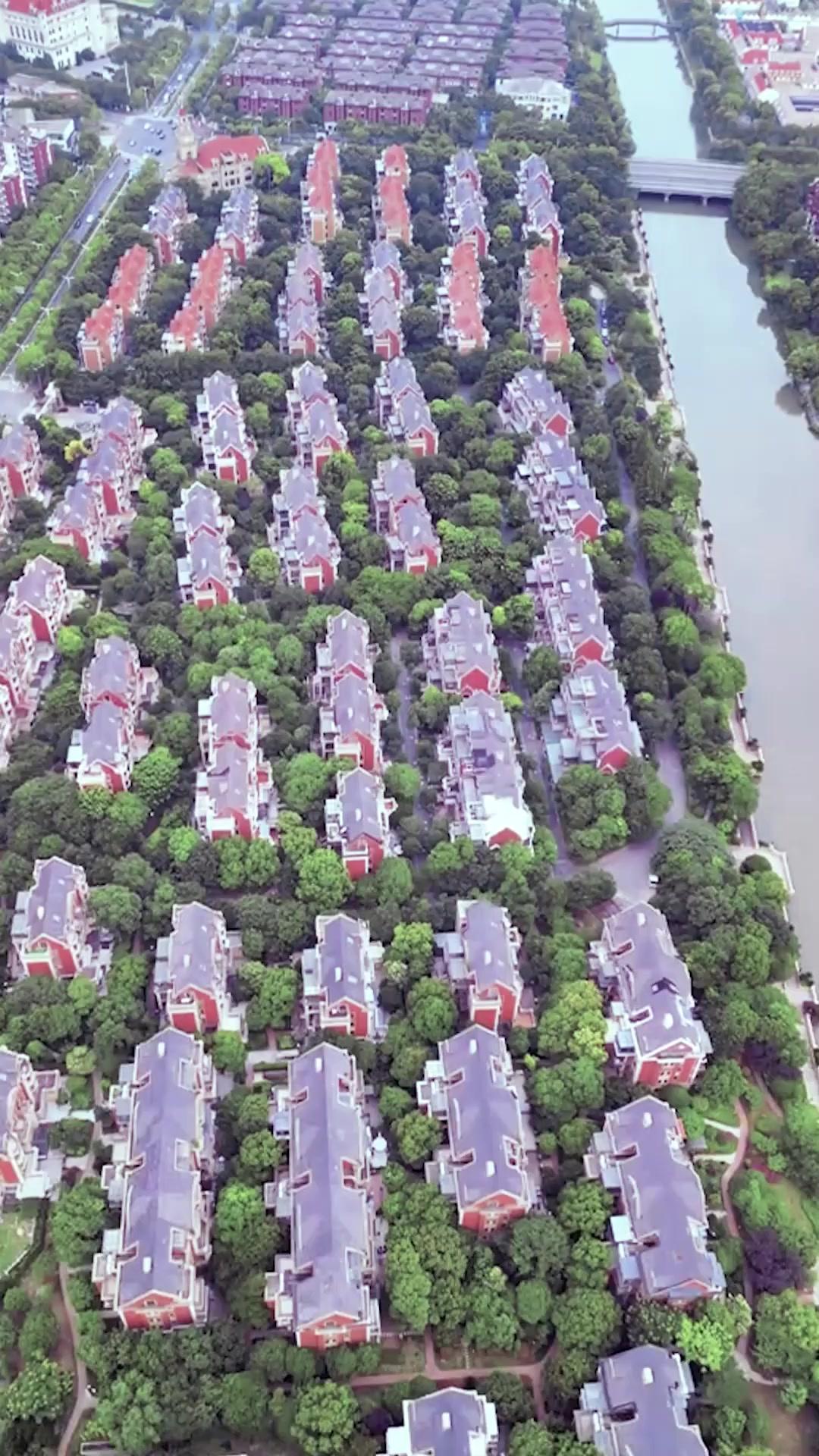 Mother-in-Law’s Live Reckoning poster