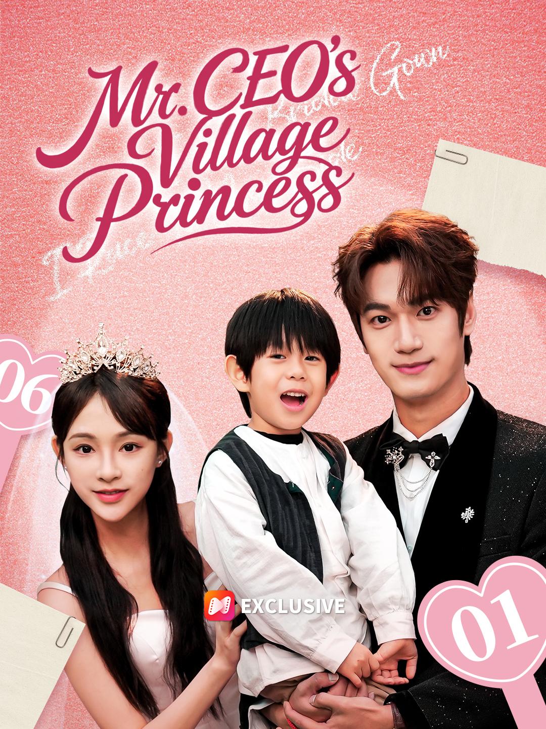 Mr. CEO's Village Princess poster