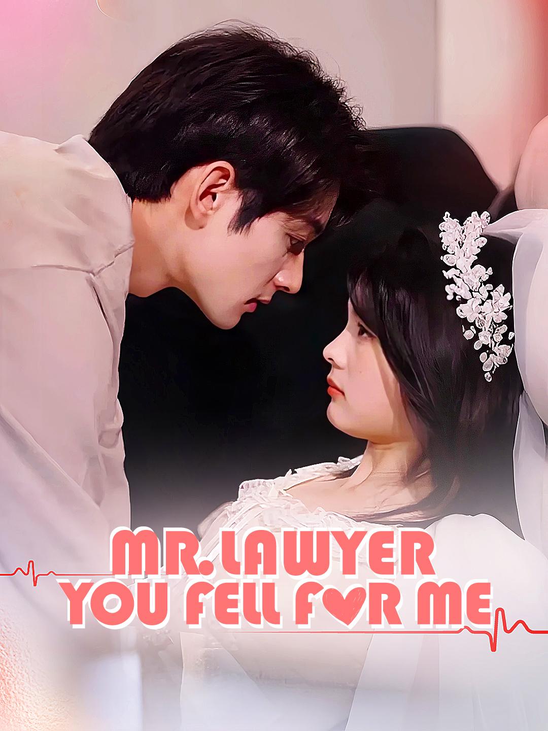 Mr. Lawyer, You Fell for Me poster