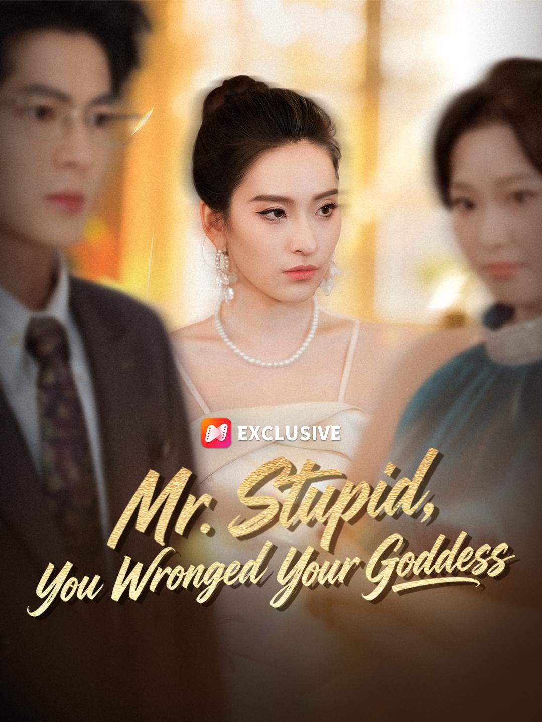 Mr. Stupid, You Wronged Your Goddess poster