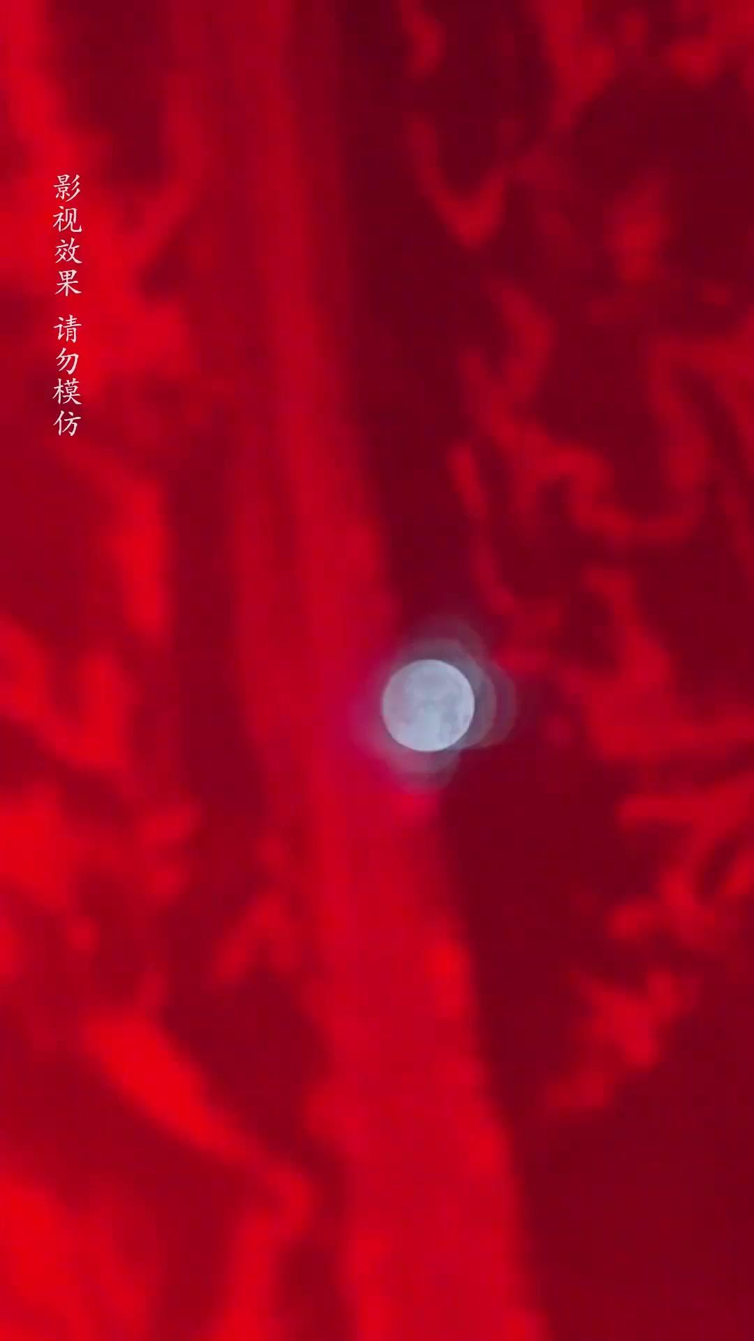 My Baby's Daddy is a Cat God! poster