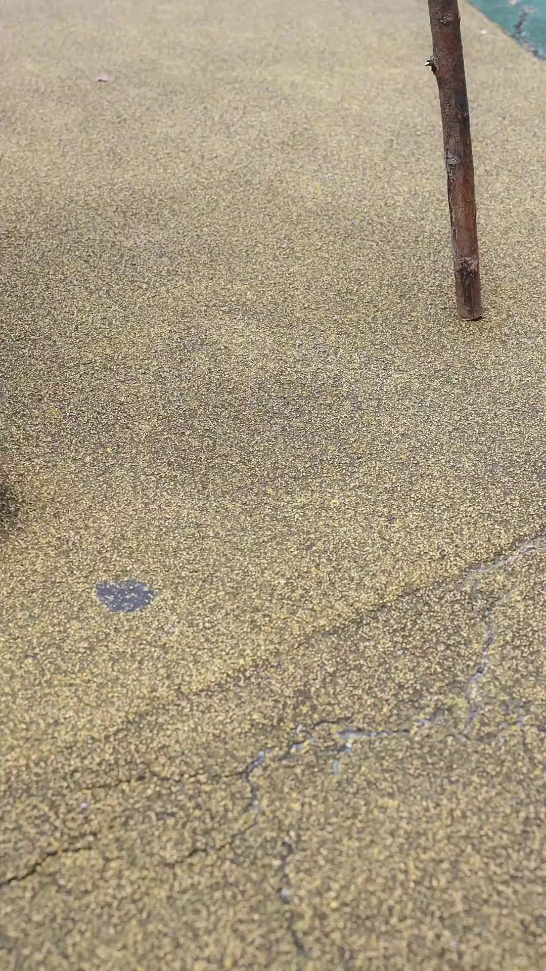 My Beggar Groom Is A Billionaire poster