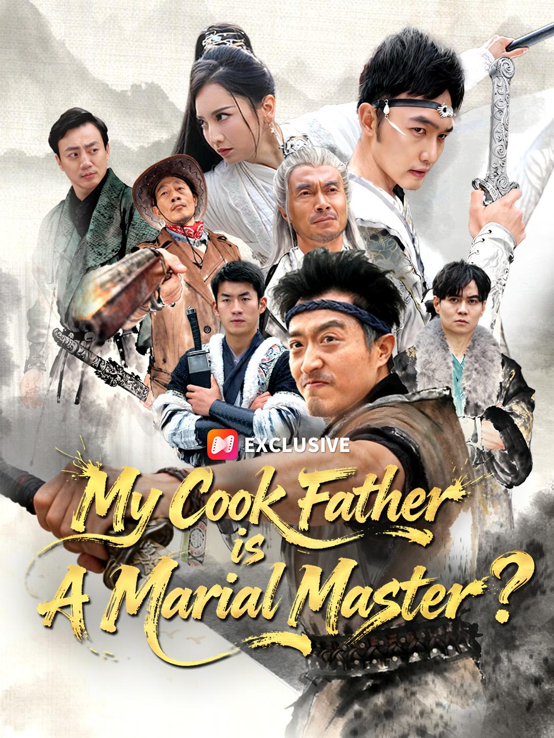My Cook Father is A Martial Master? poster