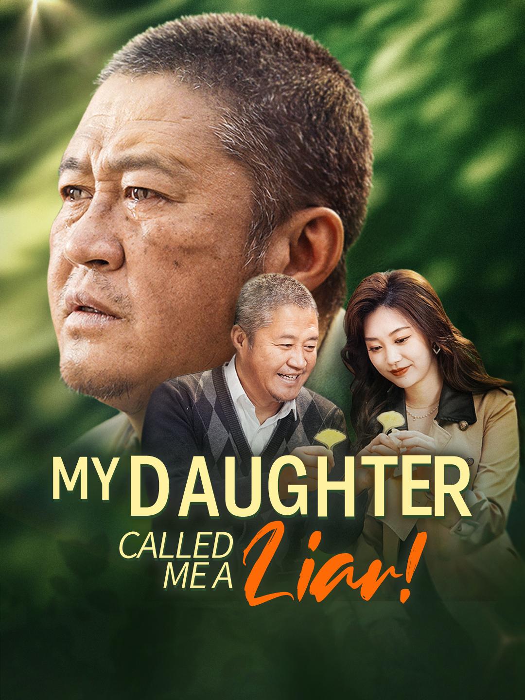 My Daughter Called Me a Liar! poster