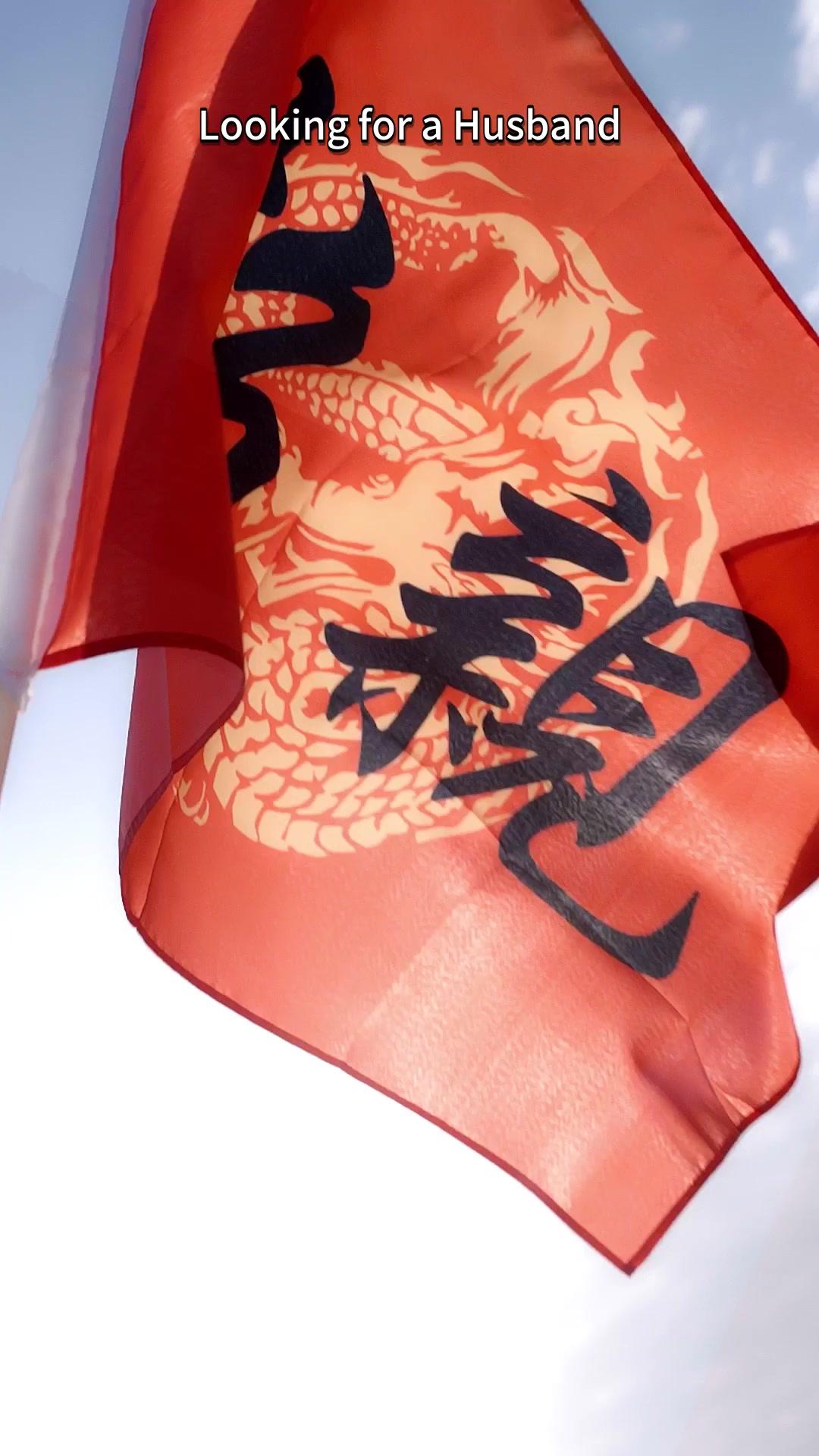 My Healer Artemis poster