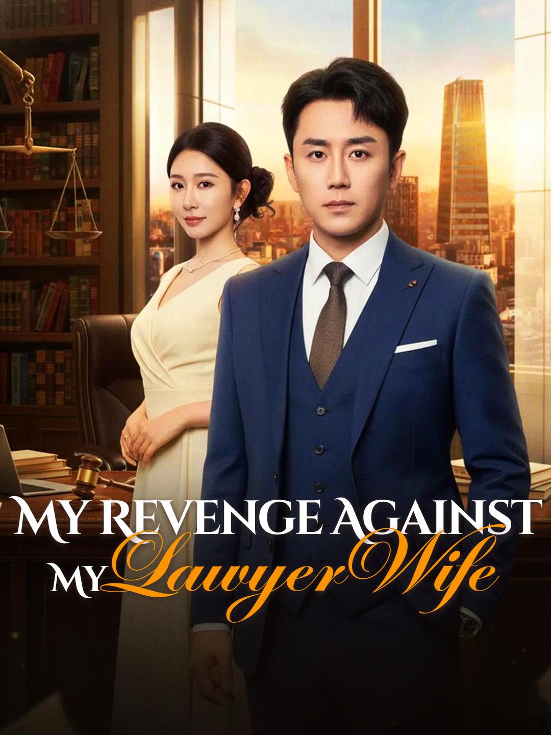 My Revenge Against My Lawyer Wife poster