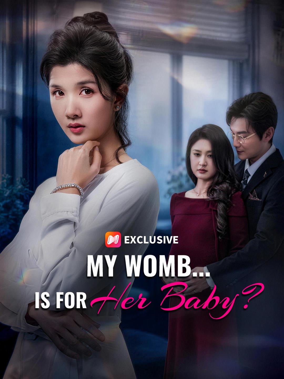 My Womb... Is For Her Baby? poster
