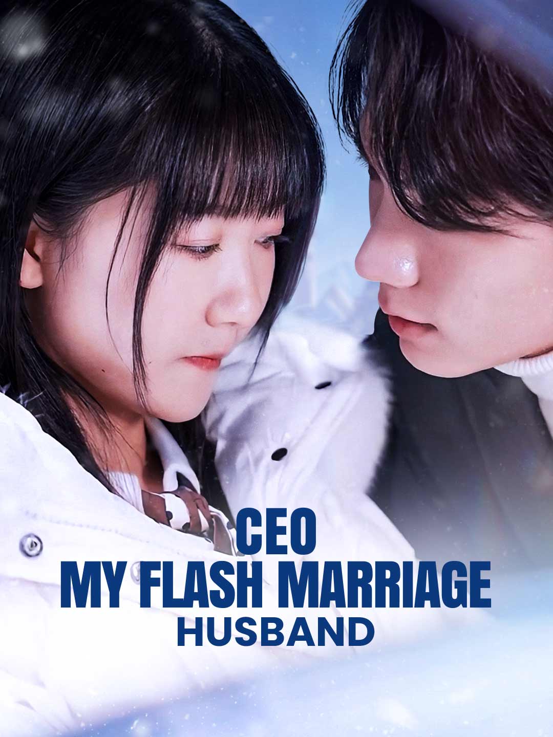 CEO: My Flash Marriage Husband poster