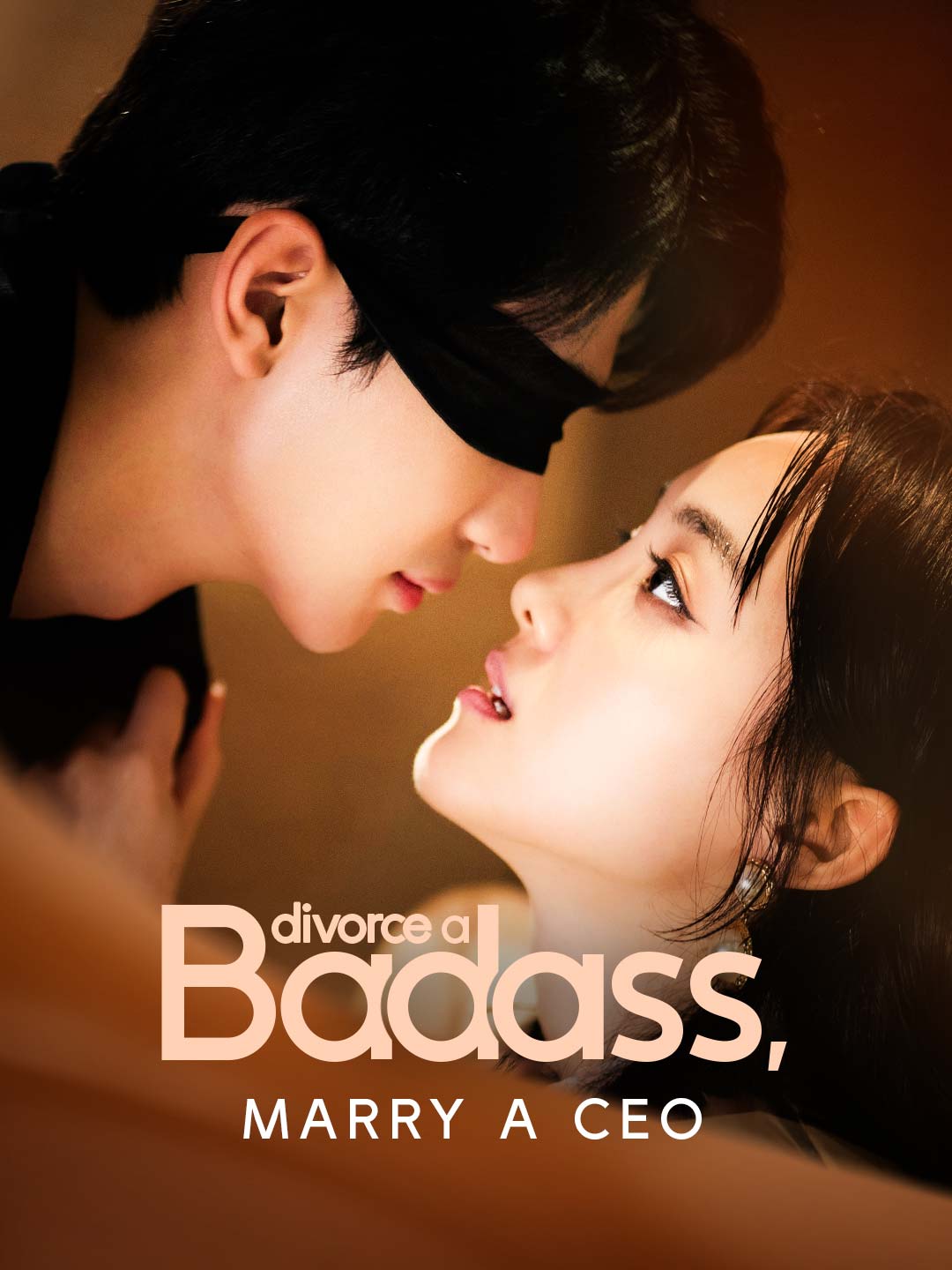 Divorce a Badass, Marry a CEO poster