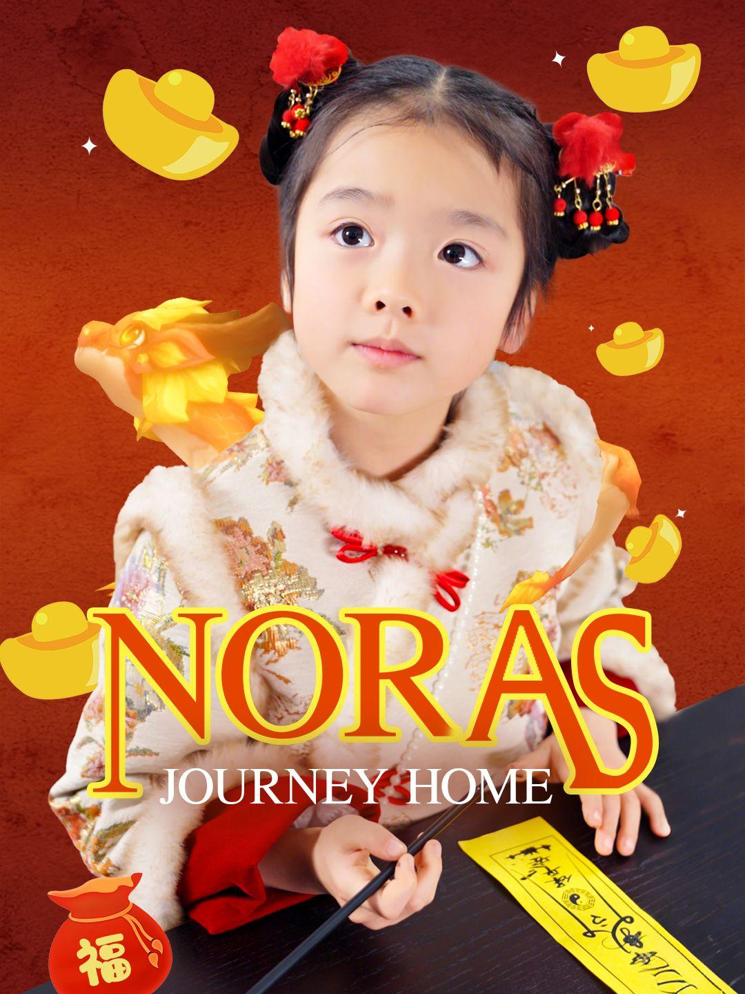Nora's Journey Home poster
