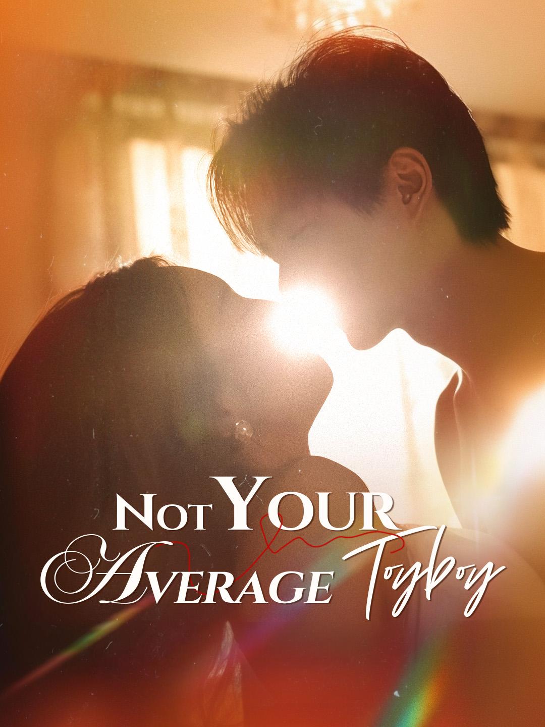 Not Your Average Toyboy poster