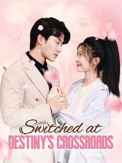 Switched at Destiny's Crossroads poster