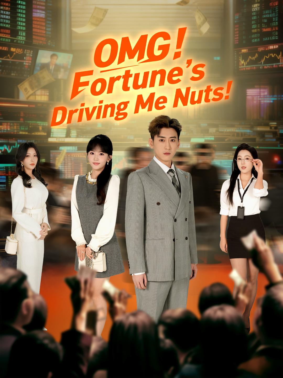 OMG! Fortune’s Driving Me Nuts! poster