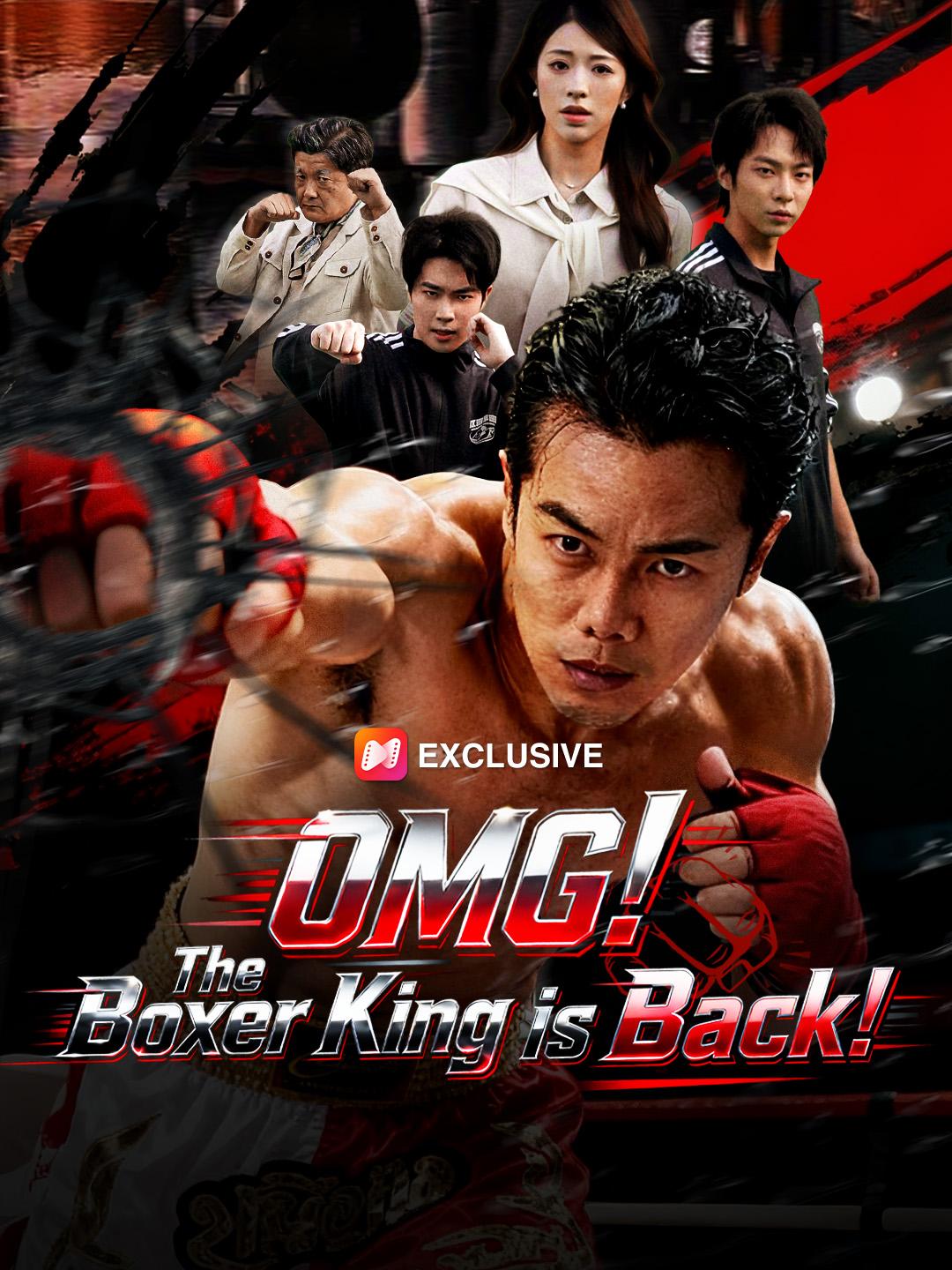 OMG! The Boxer King is Back! poster
