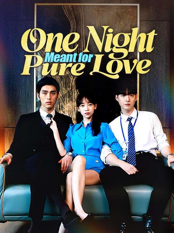One Night Meant for Pure Love poster