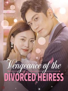 Vengeance of the Divorced Heiress poster