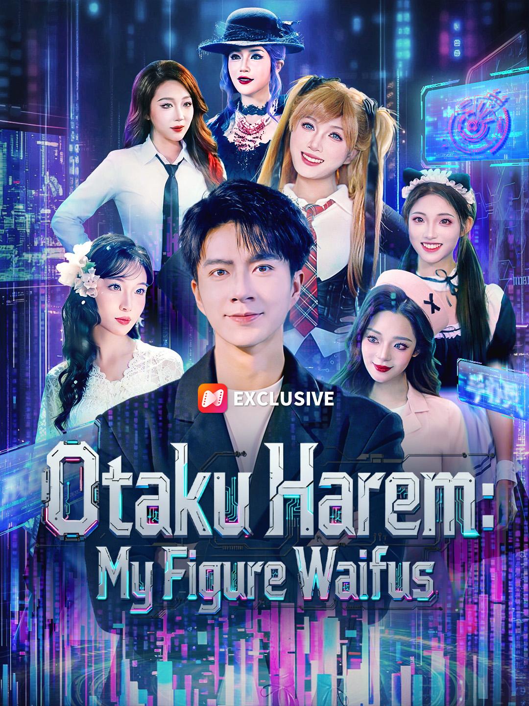 Otaku Harem: My Figure Waifus poster