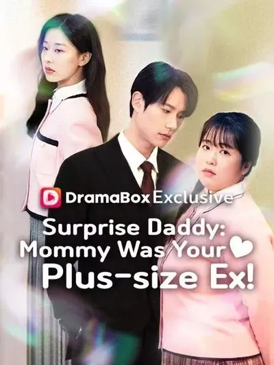 The Fat Girl’s Hidden Baby poster