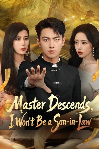Master Descends, I Won’t be a Son-in-Law poster