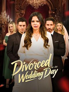 Divorced at the Wedding Day poster