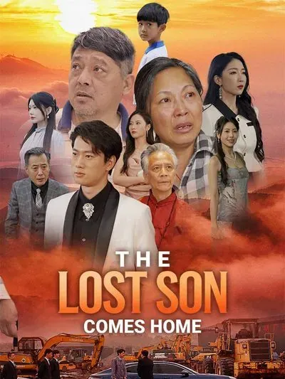 The Lost Son Comes Home poster