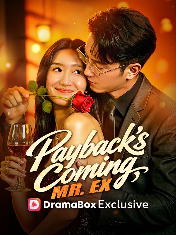 Payback's Coming, Mr. Ex poster